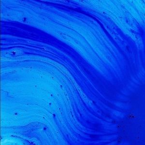 Meet your Posher, Tory